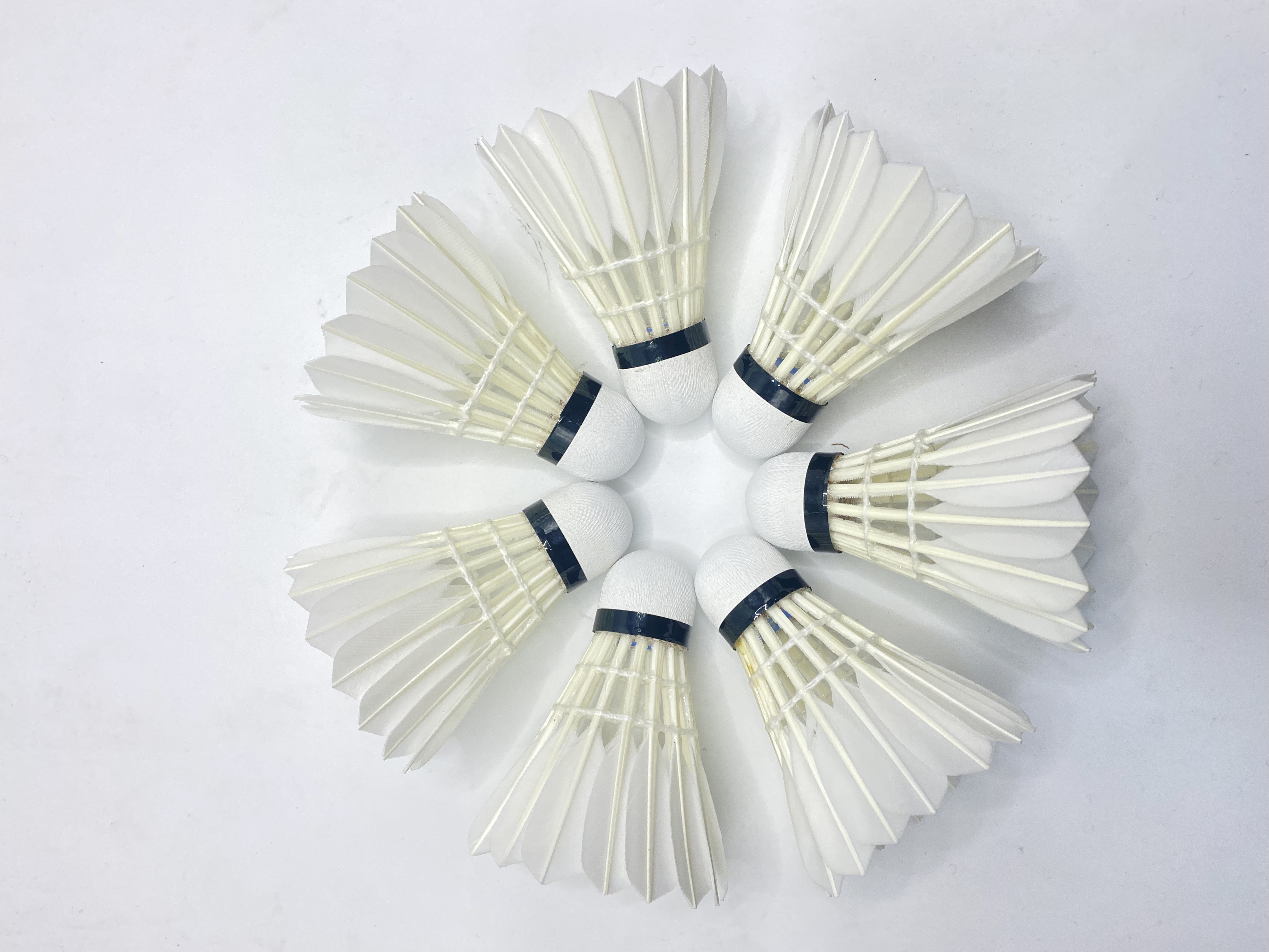BOER No.2 - image 4